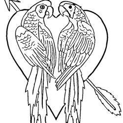 Admirable Free Printable Parrot Coloring Pages For Kids Birds Bird Parrots Print Drawing Outline Color
