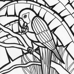 Free Printable Parrot Coloring Pages For Kids Animal Place Jungle Colouring Animals Print Library Popular