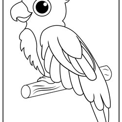 Printable Parrots Coloring Pages Updated