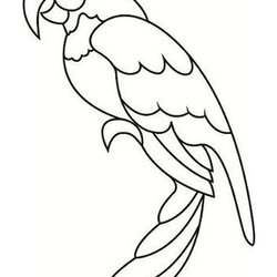 Excellent Coloring Pages Free Printable Parrot