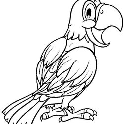 Splendid Printable Parrot Coloring Pages For Kids Macaw Parrots Adults Drawing Fish Color Print