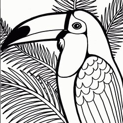 Perfect Free Printable Parrot Coloring Pages For Kids Animal Place Images