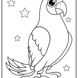 Marvelous Parrot Coloring Pages Printable Parrots