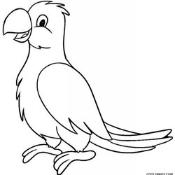 Swell Get This Free Parrot Coloring Pages To Print Parrots Bird Fit