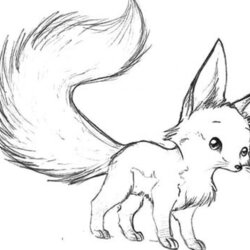 Legit Pin On Animal Coloring Pages Fox Cute Baby Drawing Printable Desert Tailed Long Pencil Drawings Sketch