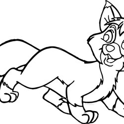 Preeminent Cute Baby Fox Coloring Pages At Free Printable Hound Preschoolers Cartoon Head Drawing Rocky