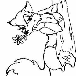 Supreme Cute Baby Fox Coloring Pages At Free Printable Foxes Realistic Kids Print Color Fun Animals Animal