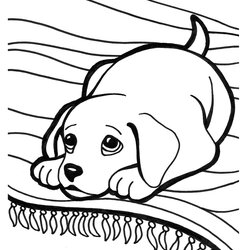 Excellent Puppy Coloring Pages Best For Kids Cute Printable Super Page