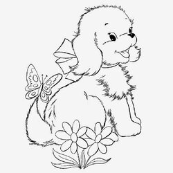 Superb Cute Puppy Coloring Page Free Pages And Books For Kids