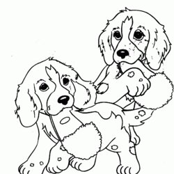 Wizard Free Coloring Pages With Cute Puppies Download Dogs Puppy Library Kids