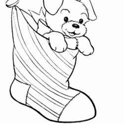 Super Print Download Draw Your Own Puppy Coloring Pages Warriors