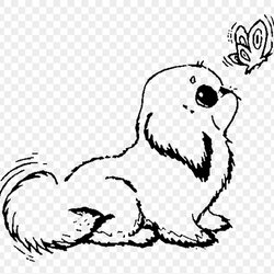 Out Of This World Cute Puppy Coloring Pages Free Printable Puppies Related