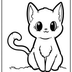 Splendid Kitten Coloring Pages Free Curiously Curious Kittens