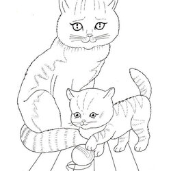 Matchless Free Printable Kitten Coloring Pages Kitty Sheets Cat And Page