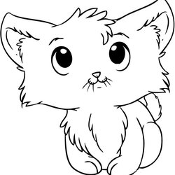 Kitten Coloring Pages Best For Kids Cute Printable