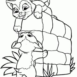 Brilliant Kitten Coloring Pages Best For Kids Printable Free Page