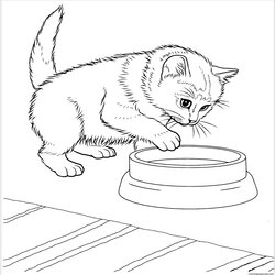 Capital Realistic Kitten Coloring Pages Free Printable Kitty Sheets Javanese Sleeping