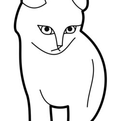 Kitten Coloring Pages Best For Kids Cat Outline Printable Template Drawing Sitting Clip Kitty Nose Color Easy