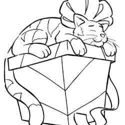 Cool Kitten Coloring Pages Cat Christmas Kittens Kitty Color Cute Colouring Drawing Sleeping Gift