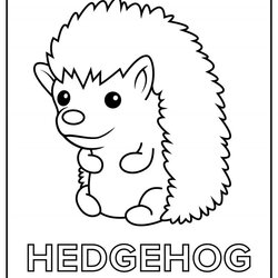 Very Good Hedgehog Coloring Pages Free
