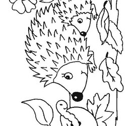 High Quality Hedgehogs Coloring Pages Hedgehog Print
