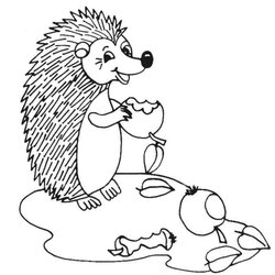 Hedgehogs Coloring Pages Kids Print Hedgehog