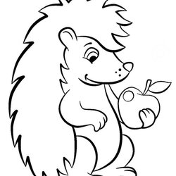 Brilliant Hedgehog Coloring Pages Best For Kids Cute Animal Printable Choose Board Animals