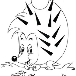 Perfect Hedgehog Coloring Pages For Children Images Print Them Online Hedgehogs Kids