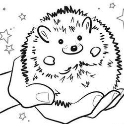 Exceptional Hedgehogs Coloring Pages Home Hedgehog Pet