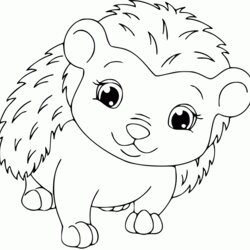 Sterling Hedgehog Coloring Pages Best For Kids Cute Hedgehogs Porcupines Background Pretty Page