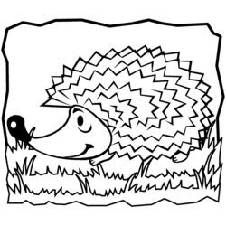 Capital Hedgehog Coloring Pages To Download And Print For Free Animals Kids