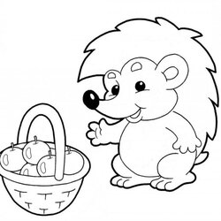 Excellent Hedgehog Coloring Pages Best For Kids Hedgehogs Animal Page