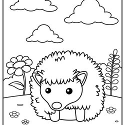 Marvelous Hedgehog Coloring Pages Free