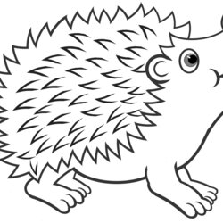 Preeminent Hedgehog Coloring Pages Best For Kids Cute