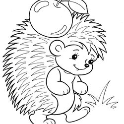 Worthy Hedgehog Coloring Pages For Children Images Print Them Online Hedgehogs