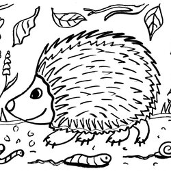 Superior Free Printable Hedgehog In Woods Colouring Sheet Colour Scaled