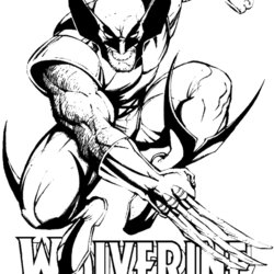 Brilliant Wolverine Coloring Pages To Download And Print For Free Color