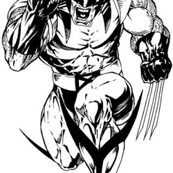Coloring Pages For Kids Free Images Wolverine Logan Men Drawings Printable Marvel Drawing Superhero Print