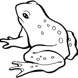 Supreme Free Printable Frog Coloring Pages For Kids Frogs Page