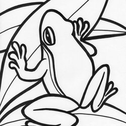 Fine Coloring Pages Of Frogs Leap Eyed Frog