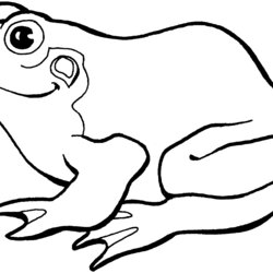 Very Good Panda Free Images Frog Coloring Pages Advertisement Page