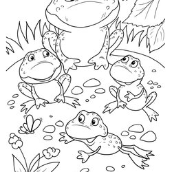 Smashing The Life Cycle Of Frog Free Coloring Pages Frogs Family