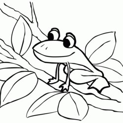 Tremendous Free Printable Frog Coloring Pages For Kids Color Drawing Frogs Tree Blank Print Cycle Sheet