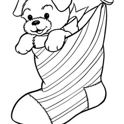 Fine Christmas Coloring Pages Printable Print Below Click