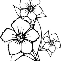 Wizard Free Printable Flower Coloring Pages For Kids Best Flowers