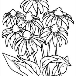 Supreme Flower Coloring Pages Free For Kids Printable
