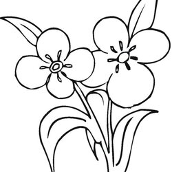 Superlative Flower Coloring Page Flowers Pages Color Printable Kids Print Nature Printing Books Com