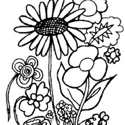 Flowers Coloring Pages Flower Plants