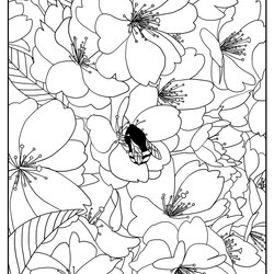 Marvelous Par Flowers Kids Coloring Pages Cherry Flower Printable Tree Adult Adults Color Print Pattern
