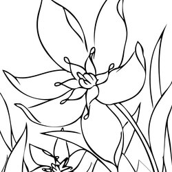 Flower Coloring Pages To Color Flowers Spring Colouring Printable Print Sheets Garden Visit Choose Board